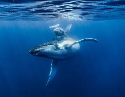 Fisheries Department Photo