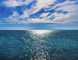 Fisheries Department Photo